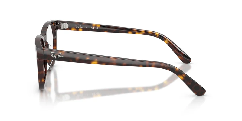 Ray-Ban RX5461D 2012 51