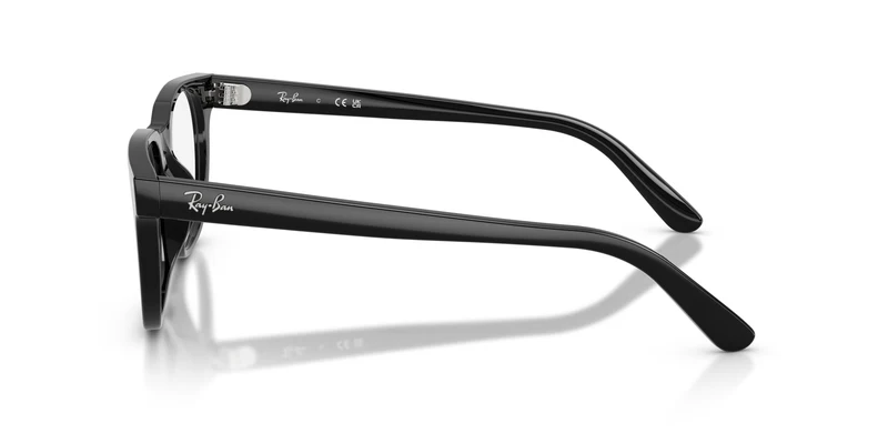 Ray-Ban RX5461D 2000 51