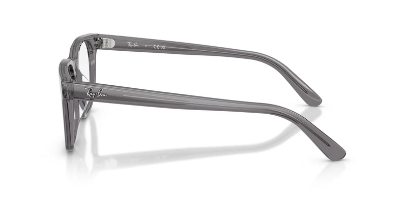 Ray-Ban RX5461D 8268 51