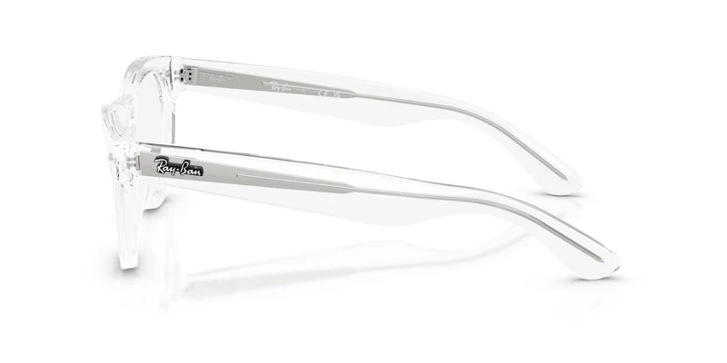 Ray-Ban RX5510 2001 52