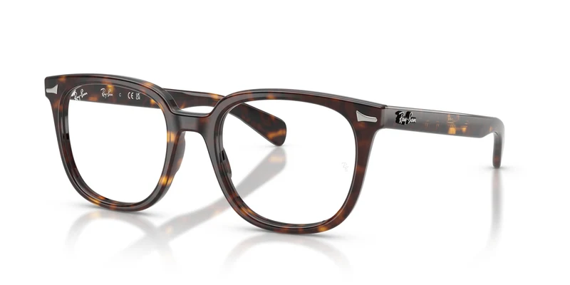 Ray-Ban RX5535 BRUNEL II 2012 53