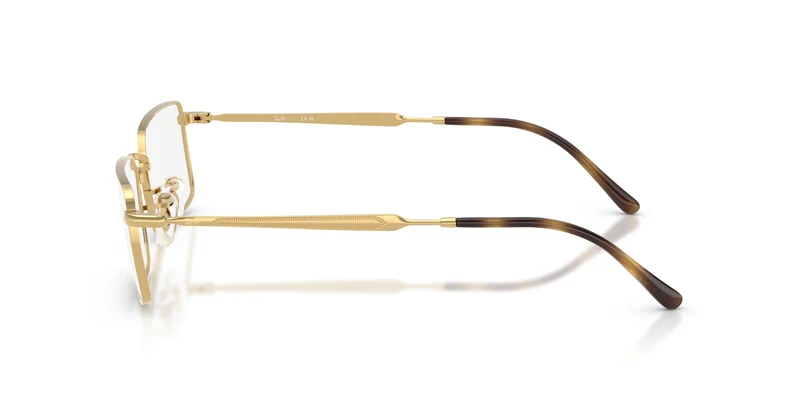 Ray-Ban RX6557 2500 54