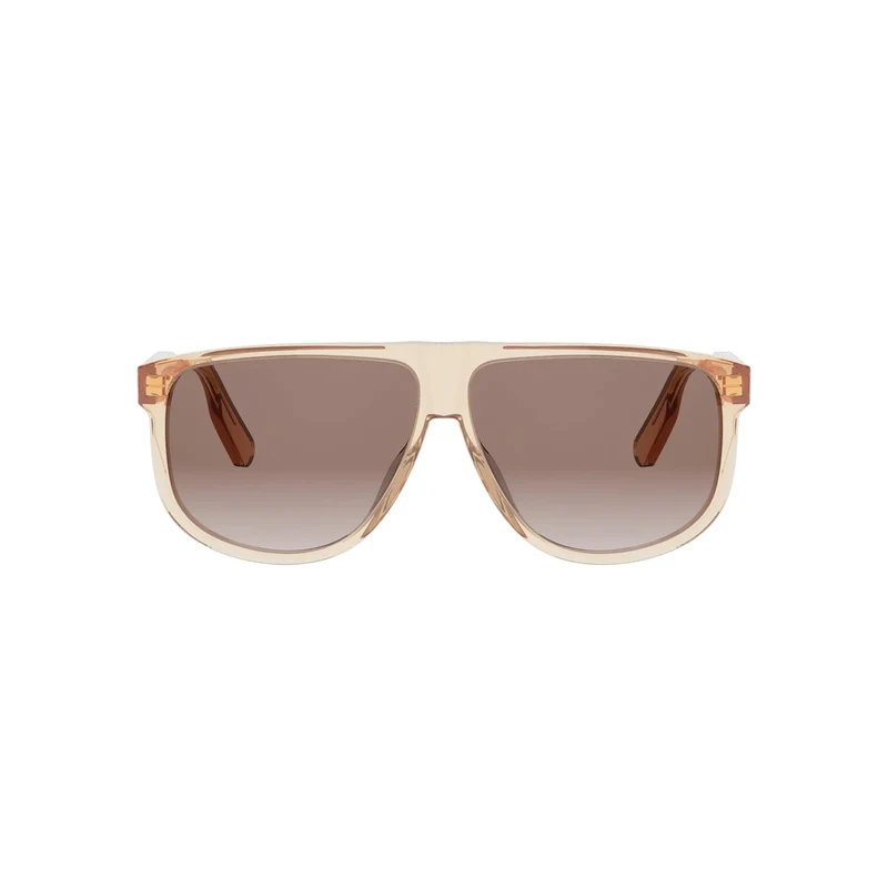 DIOR DIORIBBON S3I CD40268I 70D1 42T 61