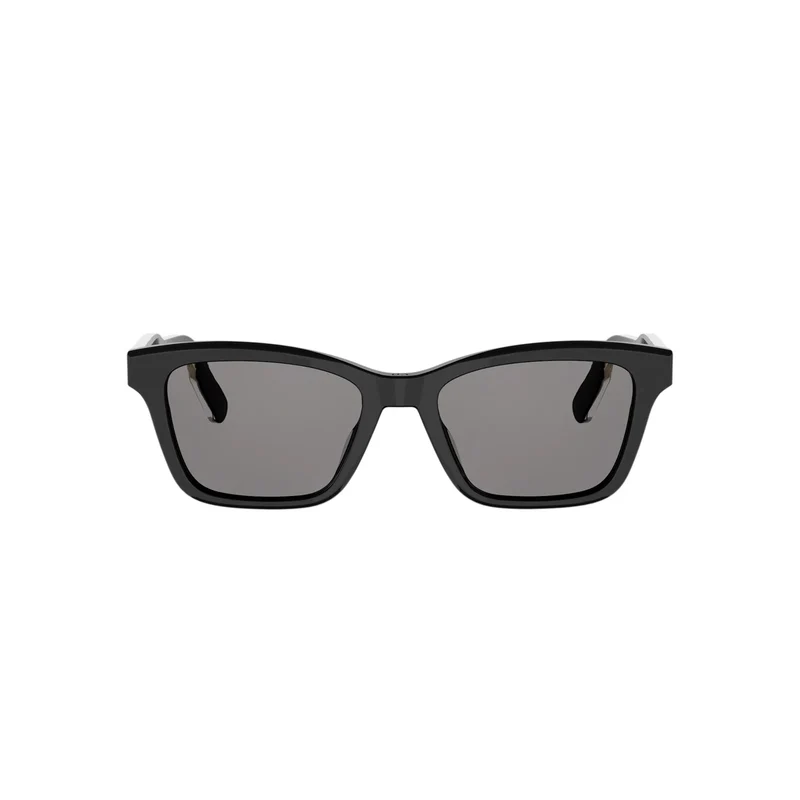 DIOR DIORIBBON S2I CD40266I 10A0 01A 53