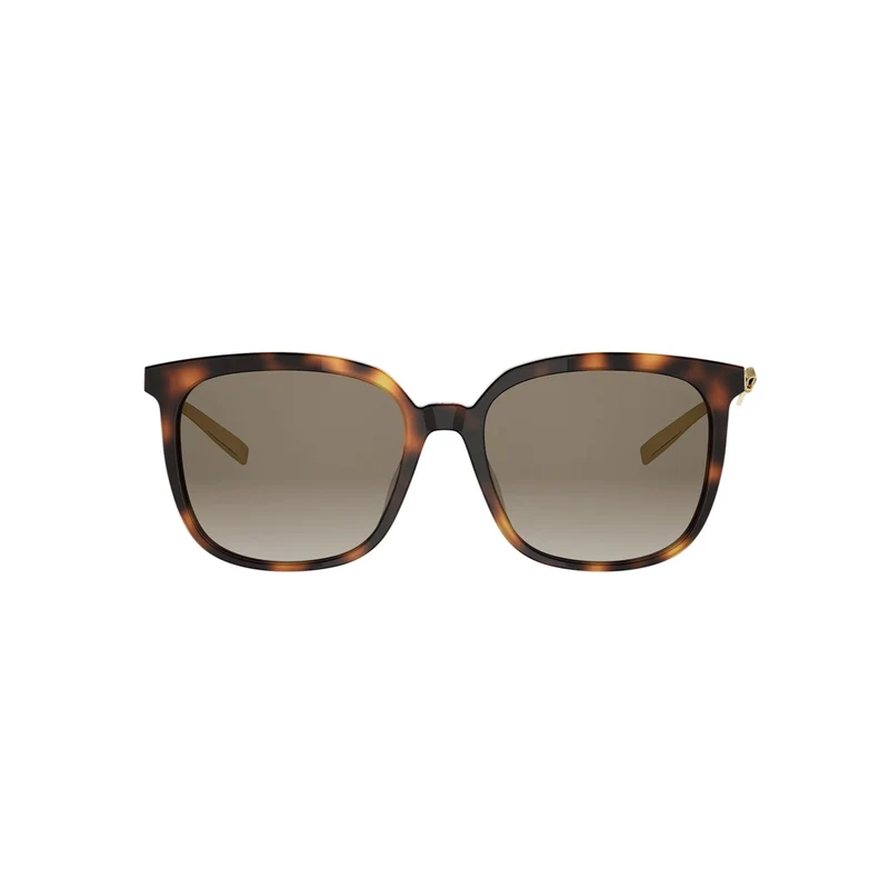 DIOR BOW S1I CD40288I 20F1 53F 55