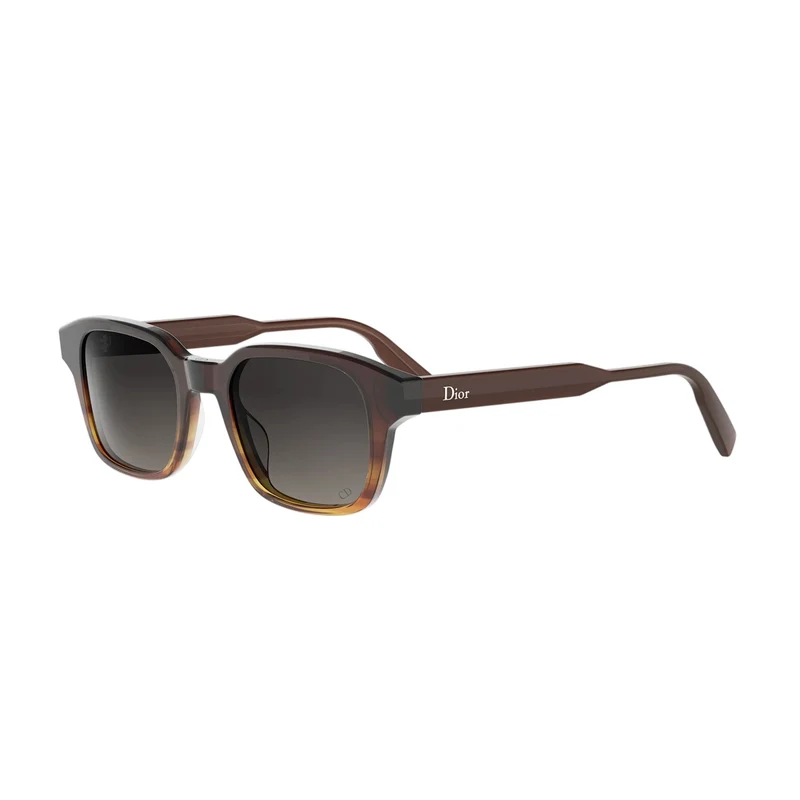DIOR DIORIBBON S1I DM40190I 24A1 56B 48