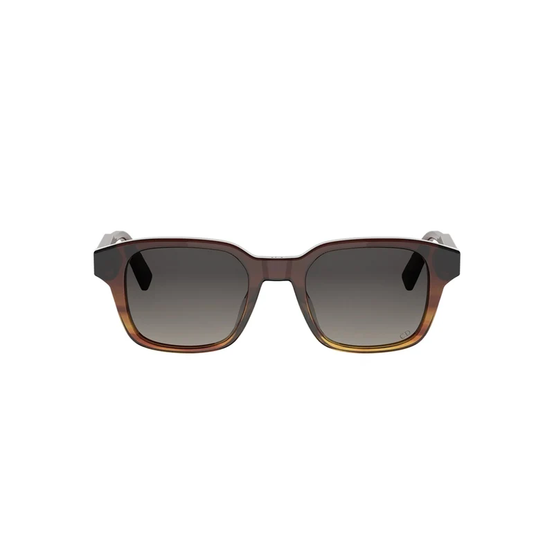 DIOR DIORIBBON S1I DM40190I 24A1 56B 48