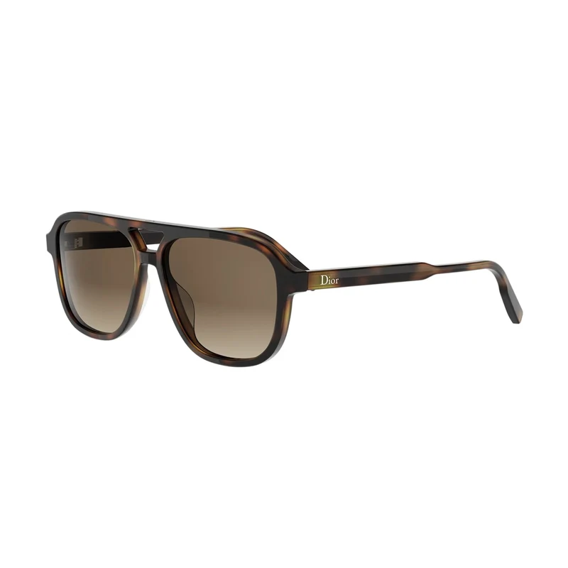 DIOR DIORIBBON A1I DM40201I 24F1 53F 56