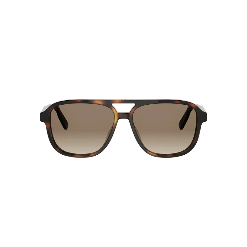DIOR DIORIBBON A1I DM40201I 24F1 53F 56