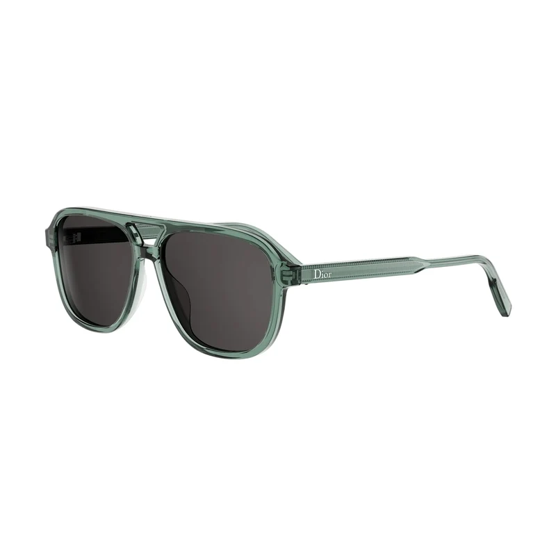 DIOR DIORIBBON A1I DM40201I 55A0 20A 56