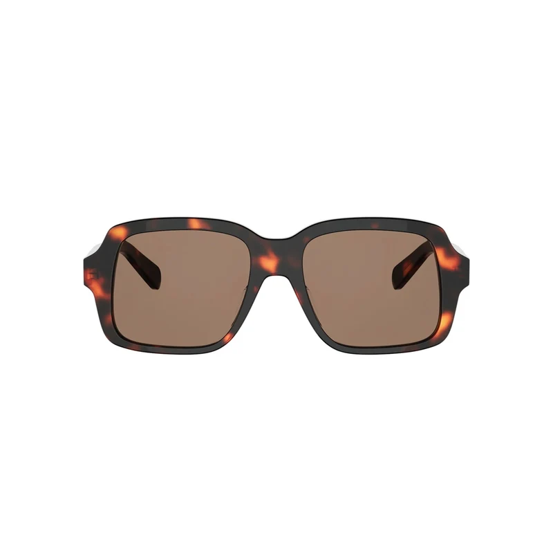CELINE TRIOMPHE MINI CL40362U 52E 54
