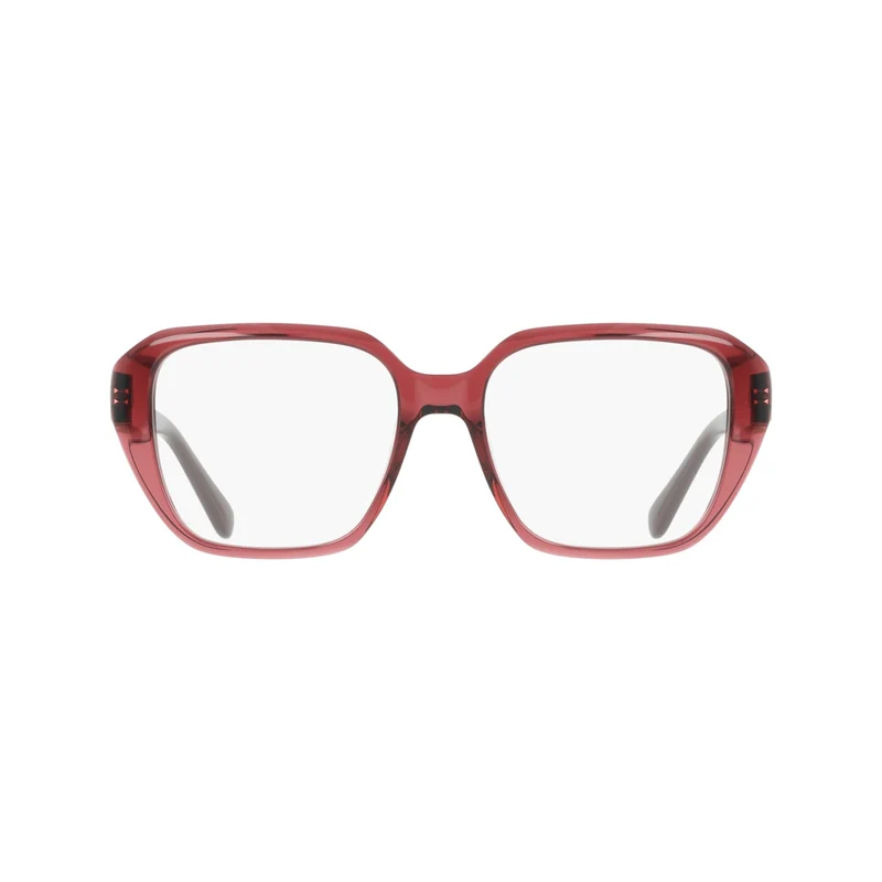 FERRAGAMO SF3073 655 53