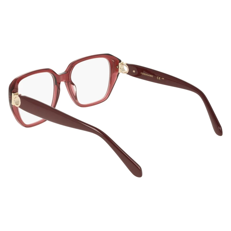 FERRAGAMO SF3073 655 53