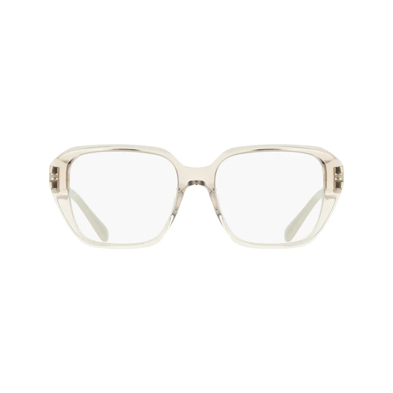 FERRAGAMO SF3073 260 53