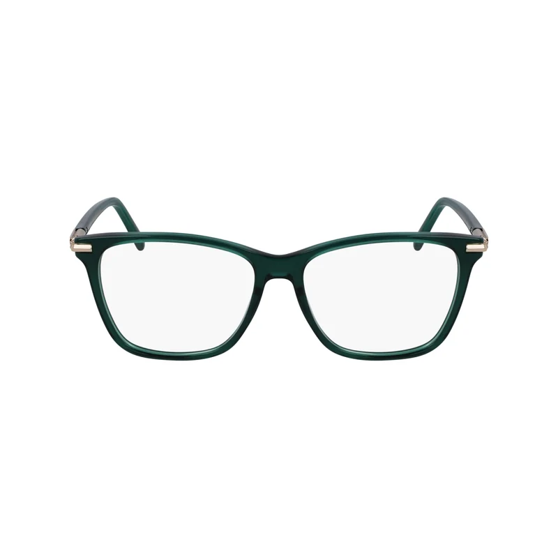 FERRAGAMO SF3013 317 55