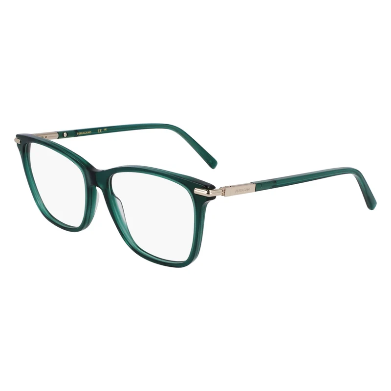 FERRAGAMO SF3013 317 55