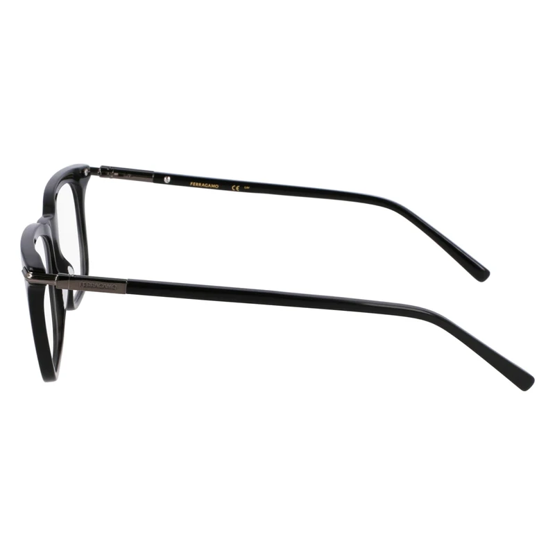 FERRAGAMO SF3007 1 56