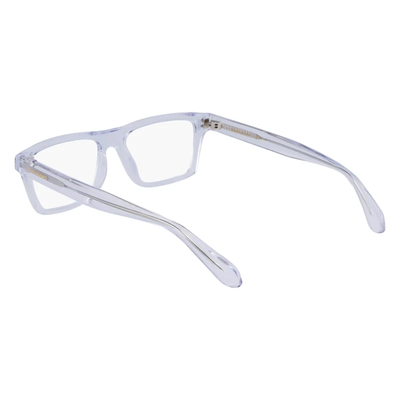 FERRAGAMO SF2988 53 54