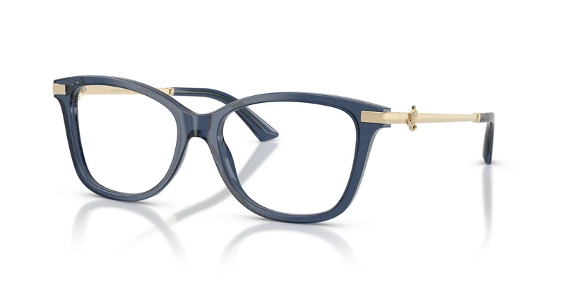 Jimmy Choo JC3068B 5035 52