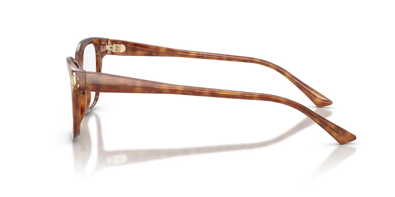 Jimmy Choo JC3012 5114 53