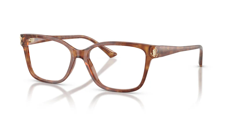 Jimmy Choo JC3012 5114 55