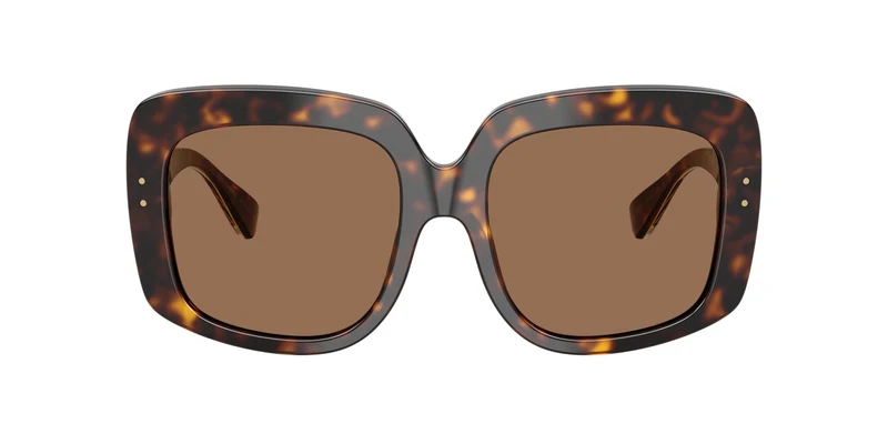 Dolce & Gabbana DG4557 502/73 55