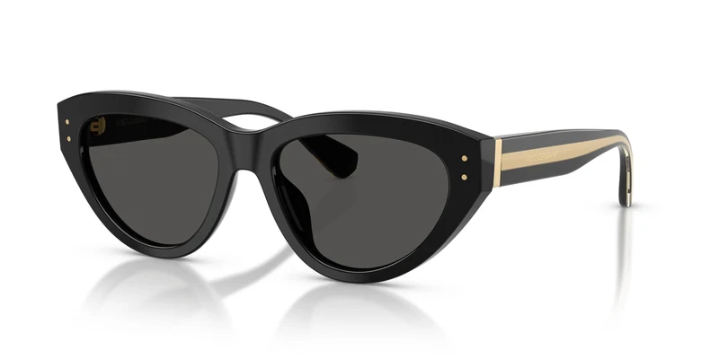 Dolce & Gabbana DG4558 501/87 54