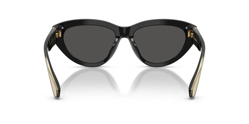Dolce & Gabbana DG4558 501/87 54
