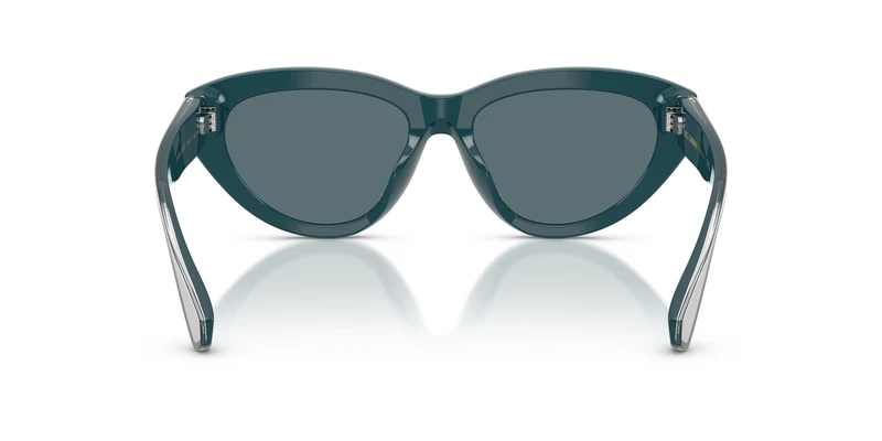 Dolce & Gabbana DG4558 350287 54