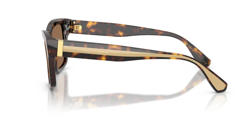 Dolce & Gabbana DG4559 502/73 55