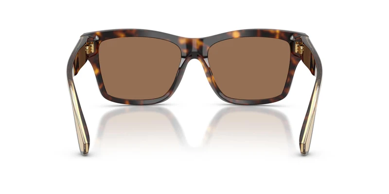 Dolce & Gabbana DG4559 502/73 55