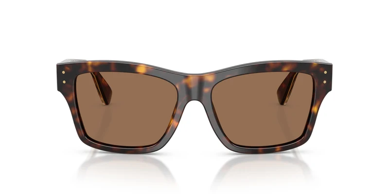 Dolce & Gabbana DG4559 502/73 55