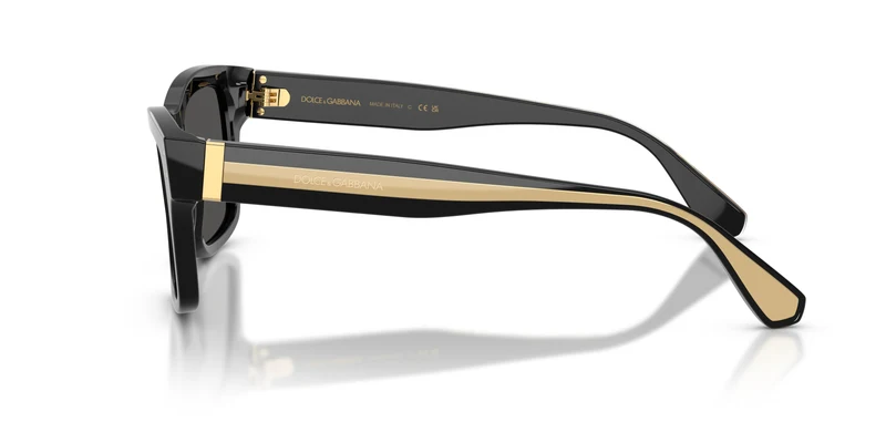 Dolce & Gabbana DG4559 501/87 55