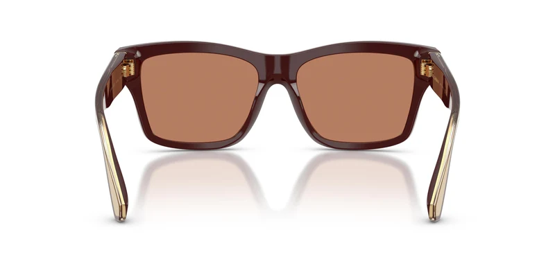 Dolce & Gabbana DG4559 3503/3 55