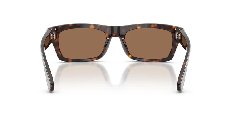 Dolce & Gabbana DG4560 502/73 54