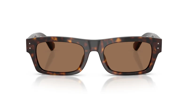 Dolce & Gabbana DG4560 502/73 54