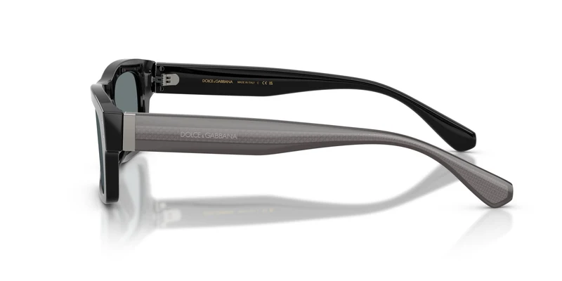 Dolce & Gabbana DG4560 501/6G 54