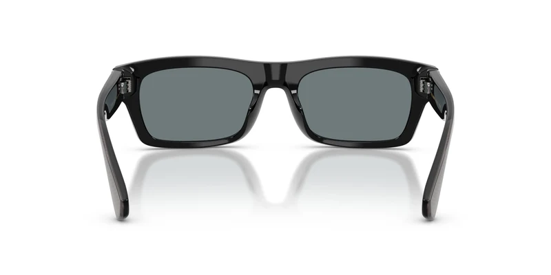 Dolce & Gabbana DG4560 501/6G 54