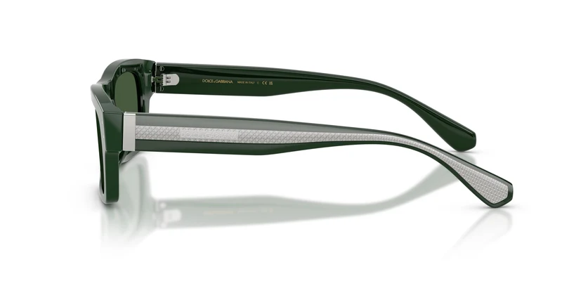 Dolce & Gabbana DG4560 331182 54
