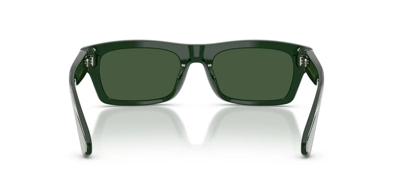 Dolce & Gabbana DG4560 331182 54