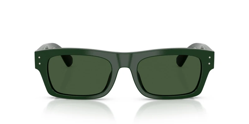 Dolce & Gabbana DG4560 331182 54