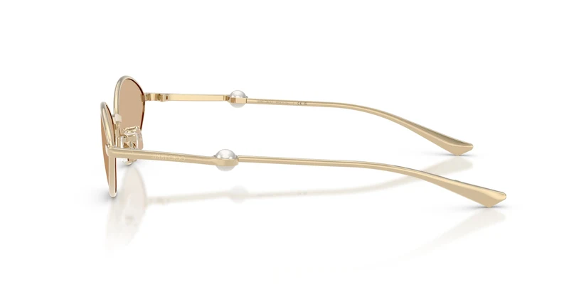 Jimmy Choo JC4033H 301773 55