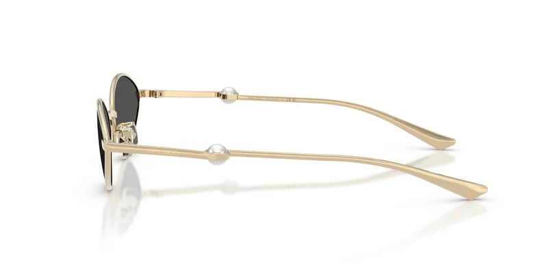 Jimmy Choo JC4033H 300687 55