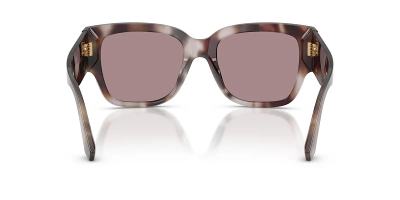 Dolce & Gabbana DG4563 3498LA 54