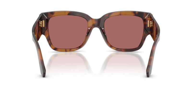 Dolce & Gabbana DG4563 349769 54