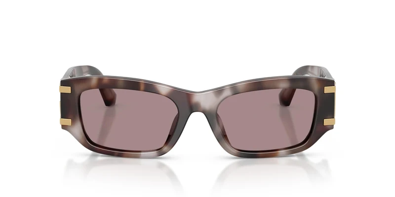 Dolce & Gabbana DG4564 3498LA 53