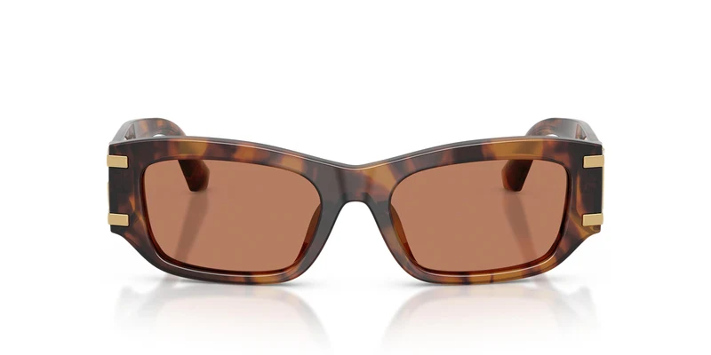 Dolce & Gabbana DG4564 3497/3 53