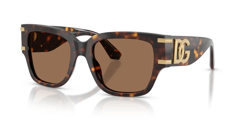 Dolce & Gabbana DG4563 502/73 54