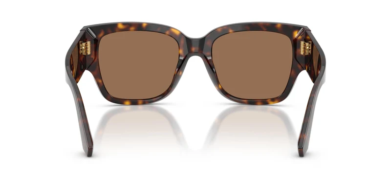 Dolce & Gabbana DG4563 502/73 54