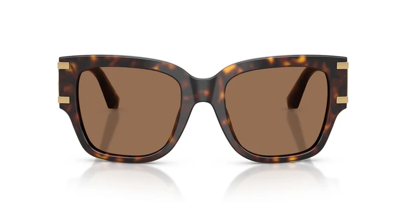 Dolce & Gabbana DG4563 502/73 54
